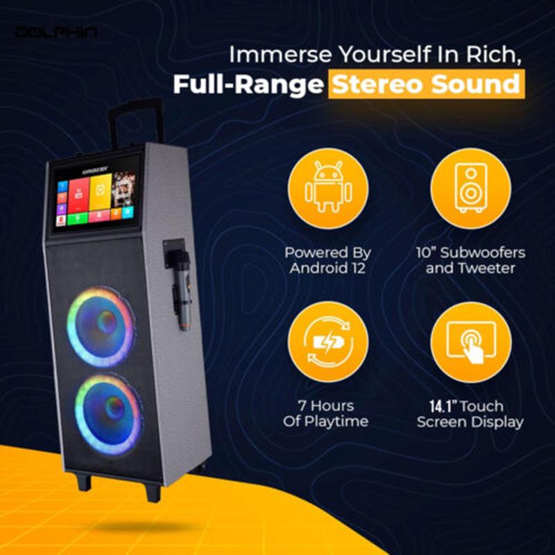 Professional Wirless Karaoke Machine 4000W Portable Speaker System 14.1