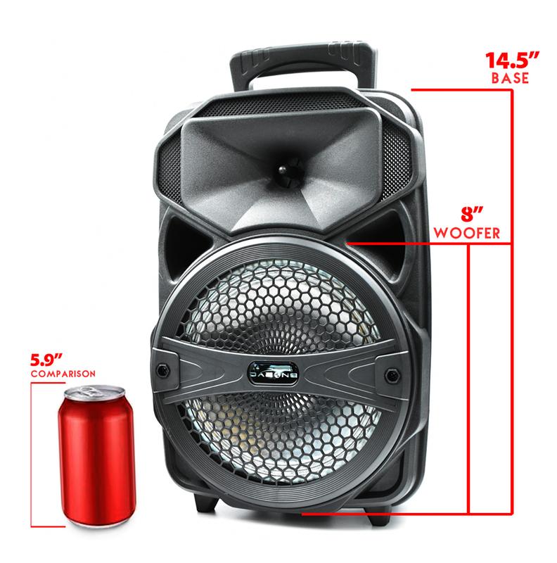 Portable Speaker system With Microphone Rechargeable Wireless Party Speaker 8inch Party Box Bluetooth FM Radio LED Lighting Audio Remote Control