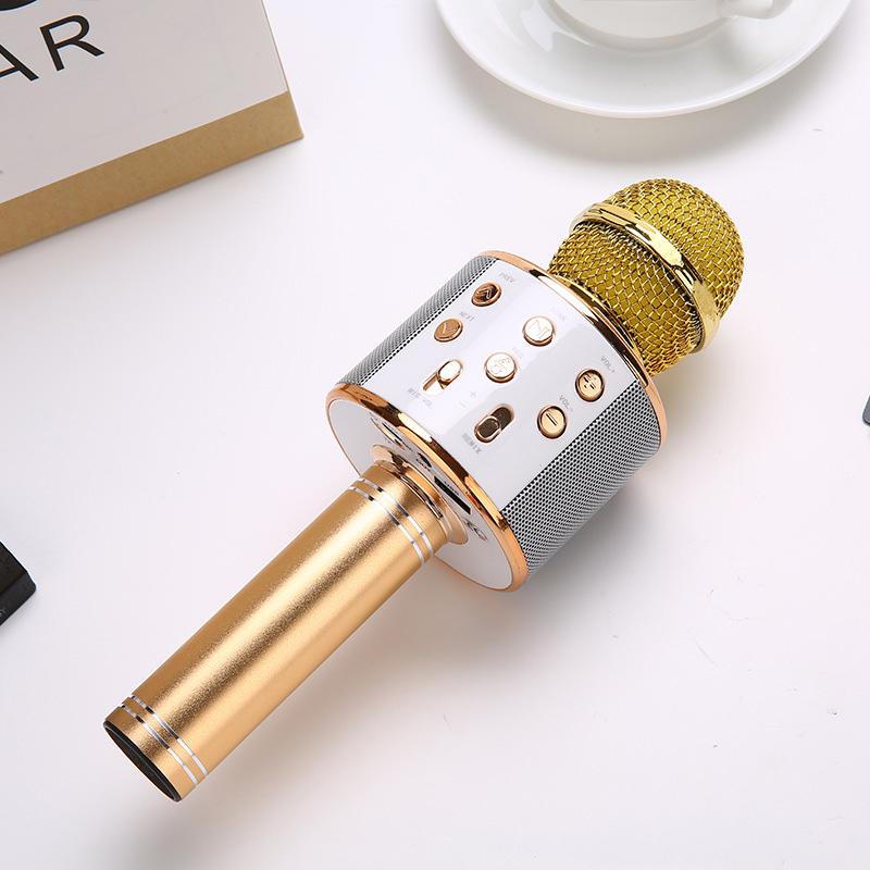 Professional Handheld Wireless Karaoke Microphone USB Speaker Microphone for Kids Music Player Singing Recorder KTV